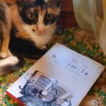 il prossimo