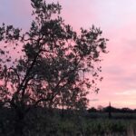 il prossimo