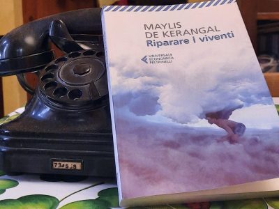 “Riparare i Viventi” M. De Kerangal