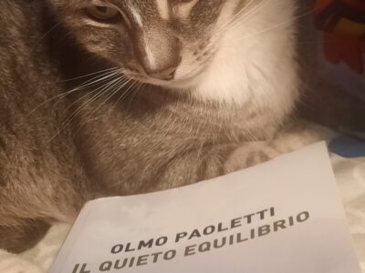 Il quieto Equilibrio- Olmo Paoletti- Porto Seguro